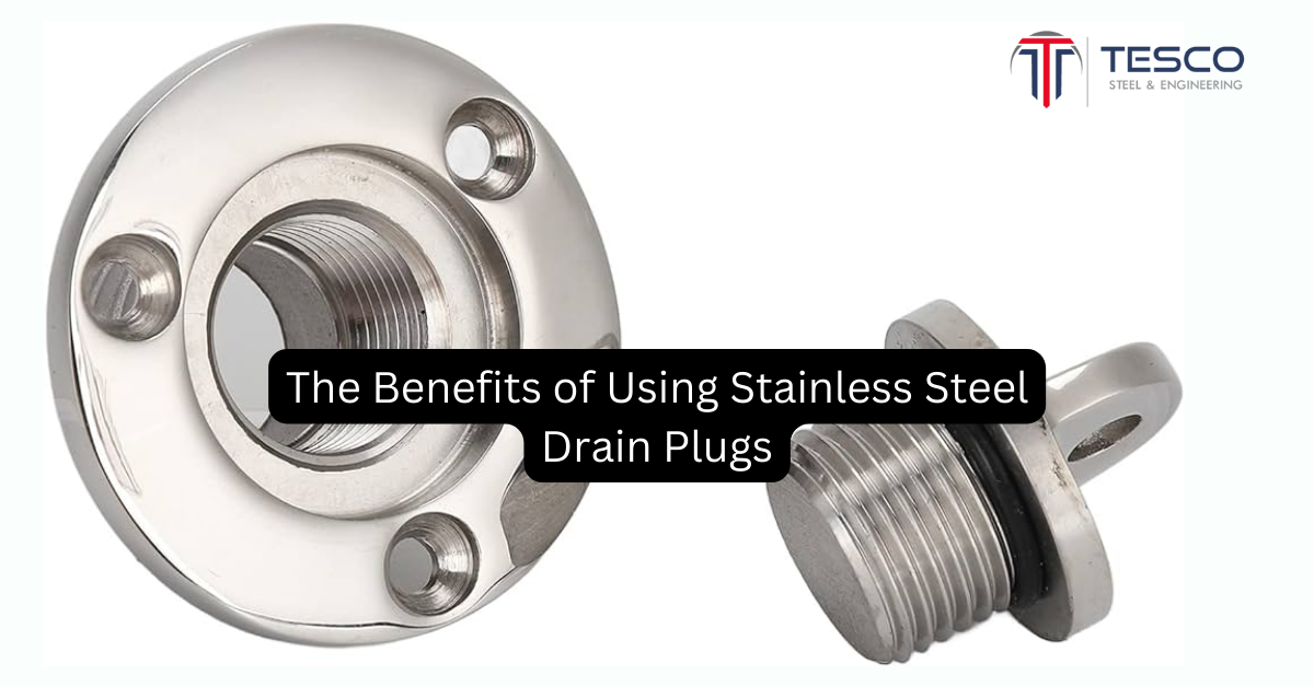 Stainless Steel Drain Plugs
