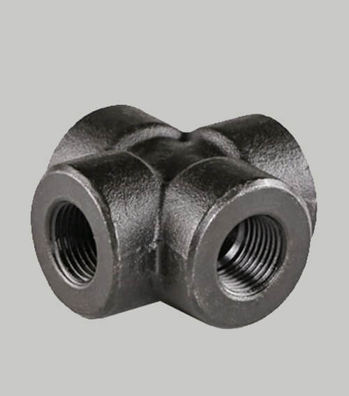 LTCS A350 LF2 Threaded Fittings